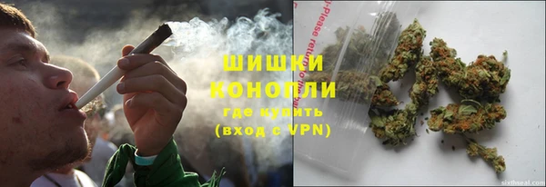a pvp Пересвет